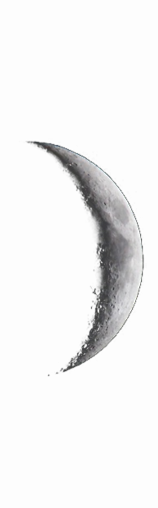 Luna nueva