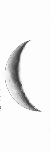 Luna balsámica