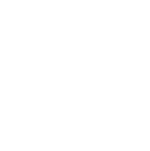 Revolución Solar